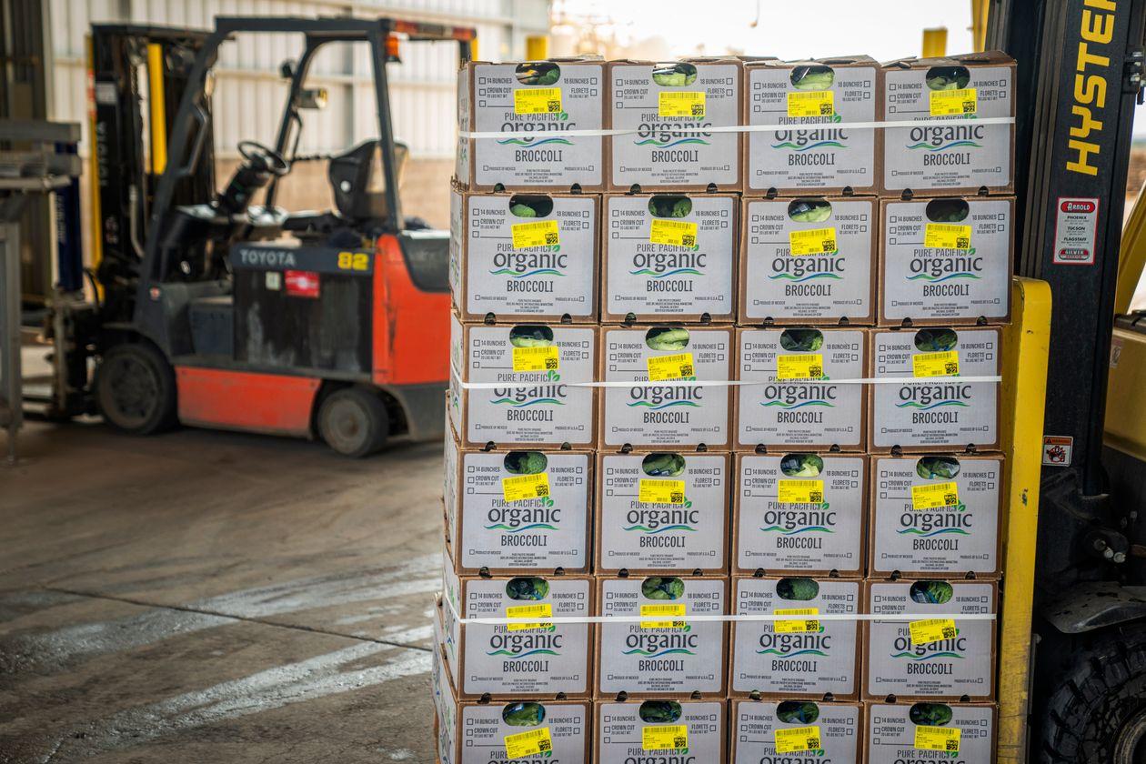 Pallet of boxed cargo lifted by a forklift inside a warehouse